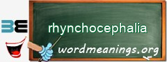 WordMeaning blackboard for rhynchocephalia